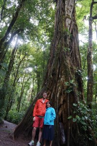 The two of us and a tree