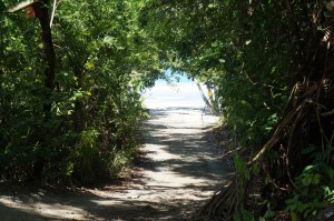 The beach at the end of the tunnel