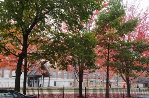 The school across the street