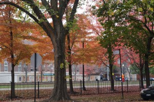 The school across the street 2